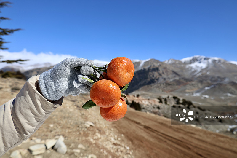 一个人手握橙子，背景是天空。图片素材