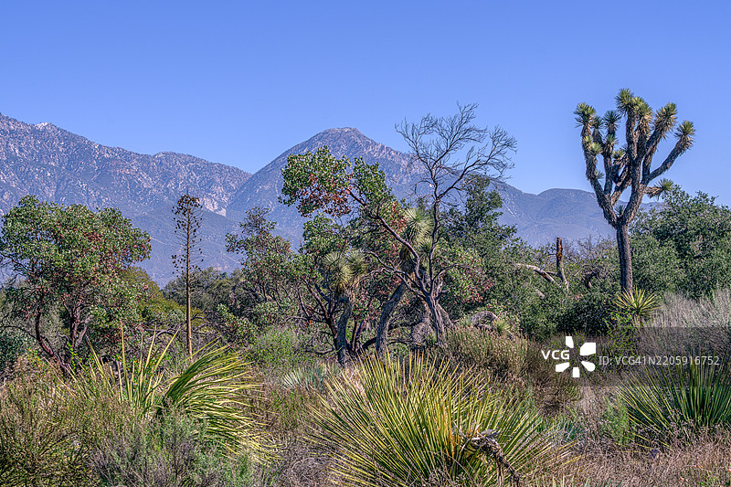 加利福尼亚州克莱蒙特的清澈蓝天下的山脉美景图片素材