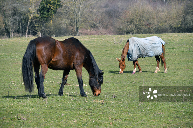 自由活动的空间图片素材