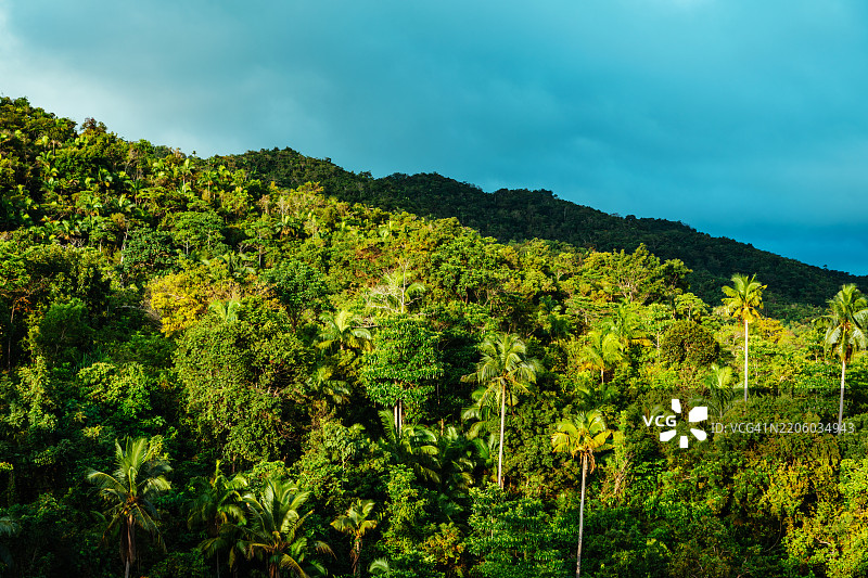 西基霍尔岛上郁郁葱葱的热带森林与明亮的天空图片素材