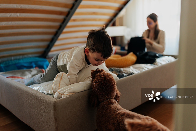 幼儿在床上与贵宾犬玩耍，母亲正在收拾行李。图片素材