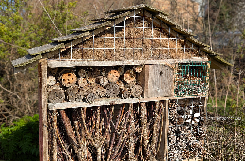虫子屋图片素材