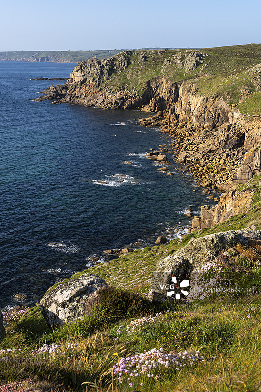 兰兹角的海岸风景。开花的海石竹(Armeria maritima),兰兹角,彭赞斯,康沃尔,英格兰,英国图片素材