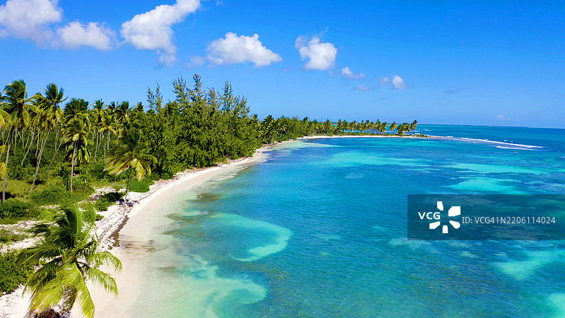 热带幸福：棕榈树向天空伸展图片素材