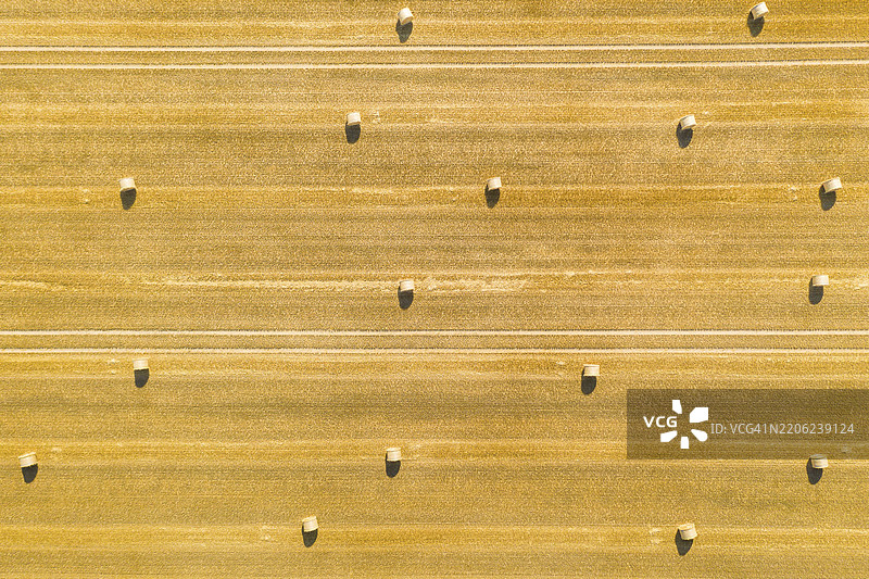 从上方俯瞰德国萨克森州诺森的收割谷物田上的稻草 bale图片素材