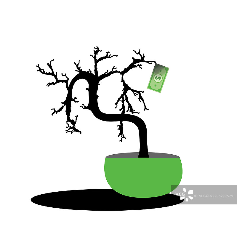 只有一张钞票的枯死钱树图片素材
