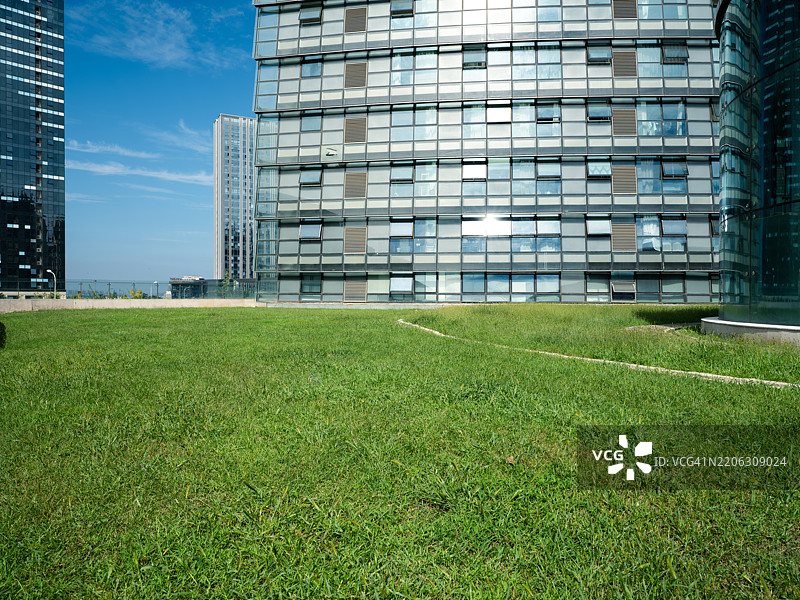 草地与摩天大楼图片素材