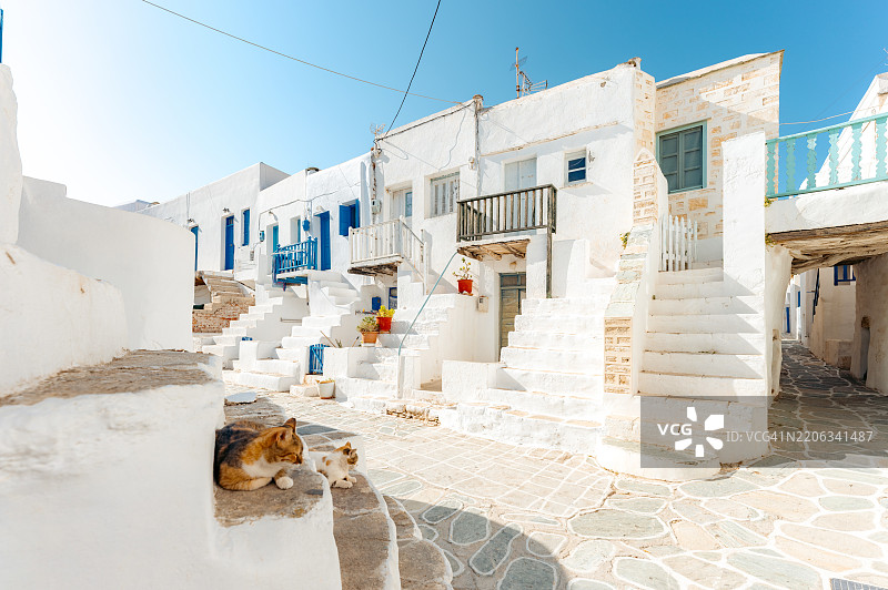 希腊福莱甘德罗斯岛：猫咪在粉刷一新的建筑台阶上休息。图片素材