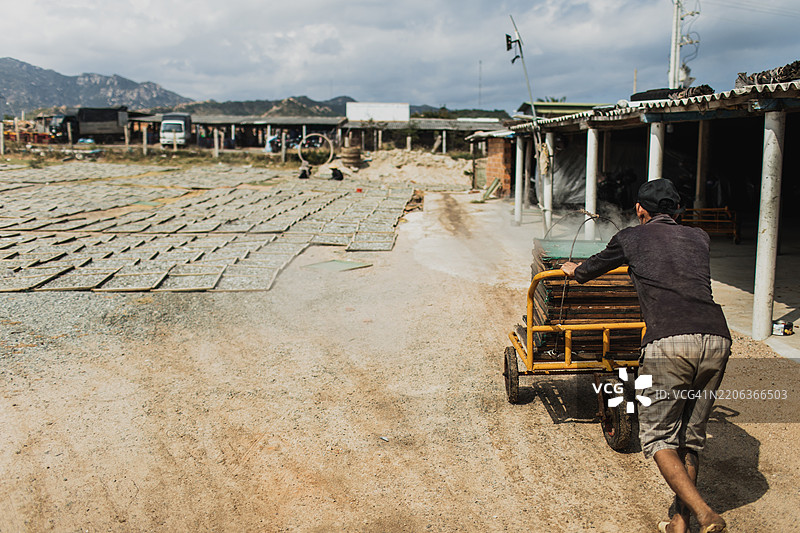 越南渔场的工人在户外晾晒凤尾鱼。图片素材