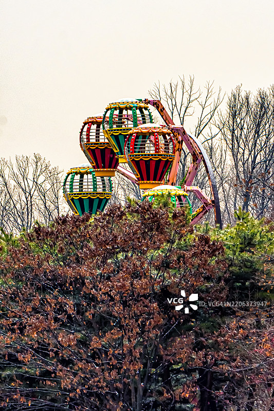 摩天轮与变色的树木图片素材