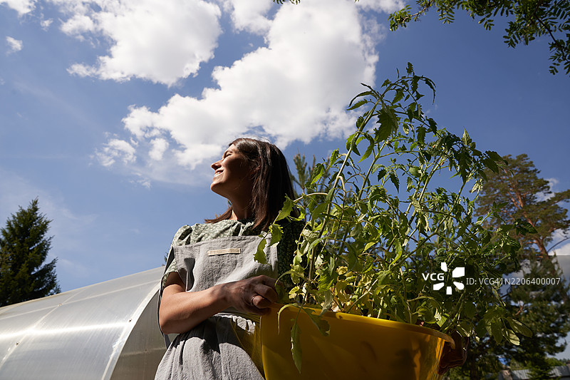 阳光明媚的后院花园里，一位女园丁正提着装有植物的黄色水桶，在温室附近忙碌着。图片素材