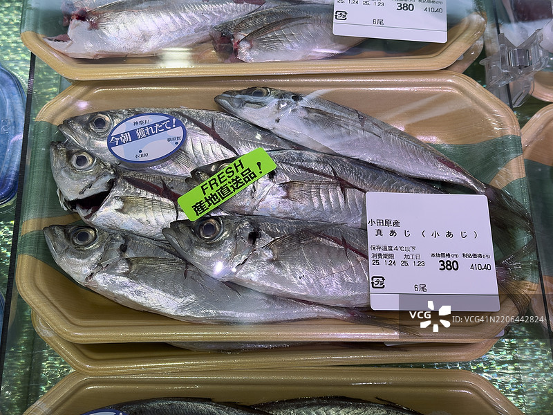 新鲜的小田原青花鱼图片素材