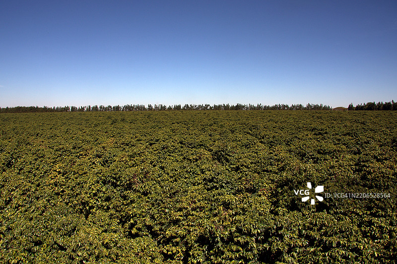 使用适当设备进行收割图片素材