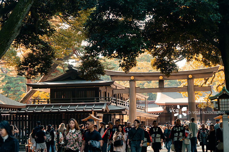 东京涩谷明治神宫入口的景观，正值秋季祭典开始时图片素材
