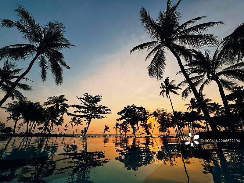 日落映衬着棕榈树和游泳池的美景图片素材