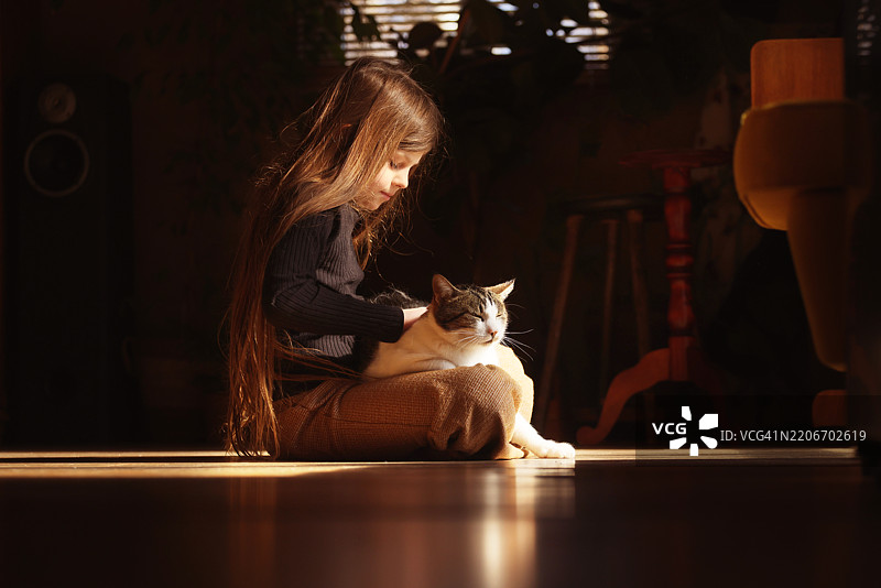 小女孩在阳光照耀的木地板上拥抱并抚摸她的猫。图片素材