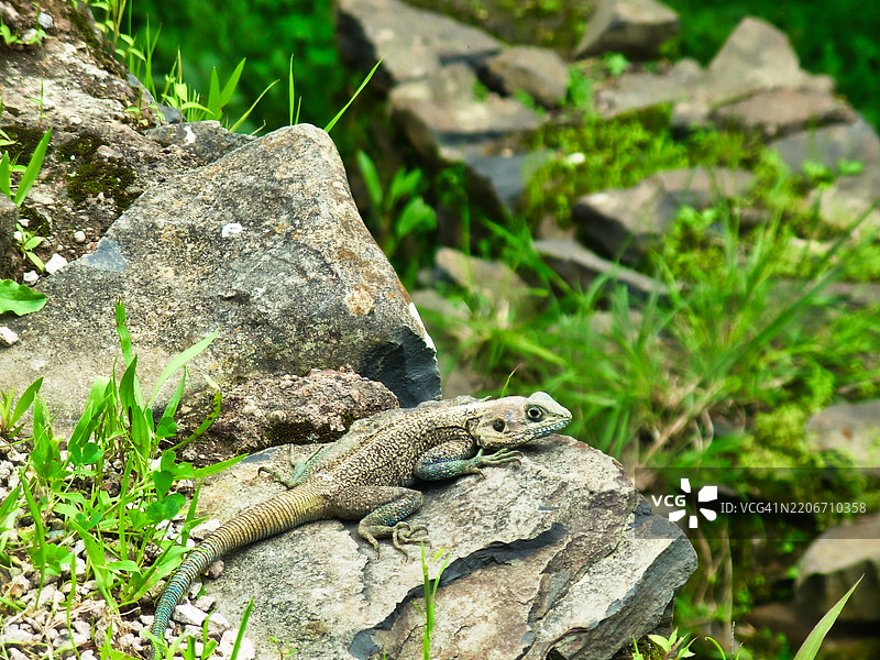 生命的意义并不在于对天堂的承诺。图片素材