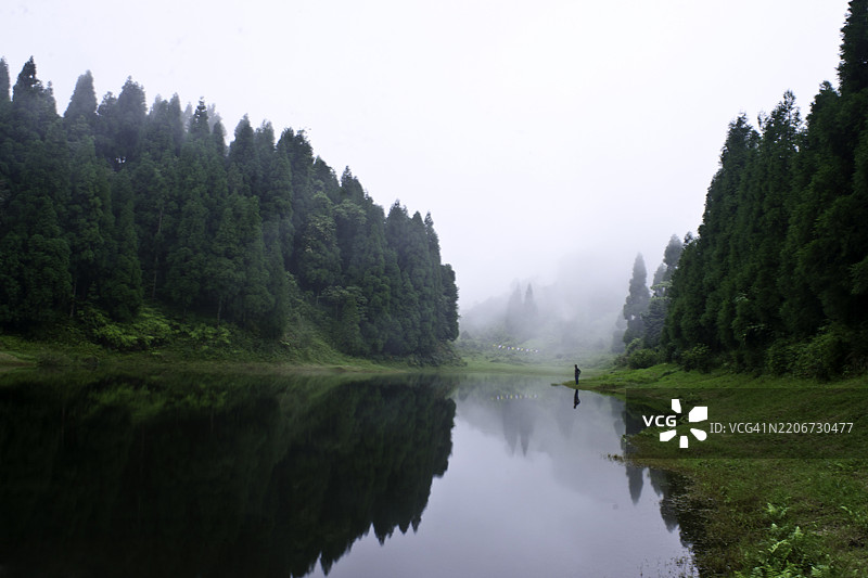 森林中湖泊的美丽景色，雾气缓缓弥漫而入图片素材