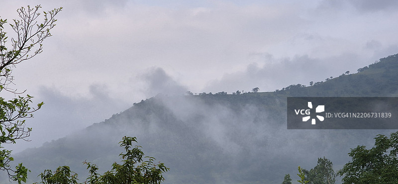 森林中的树木与天空相映成趣图片素材