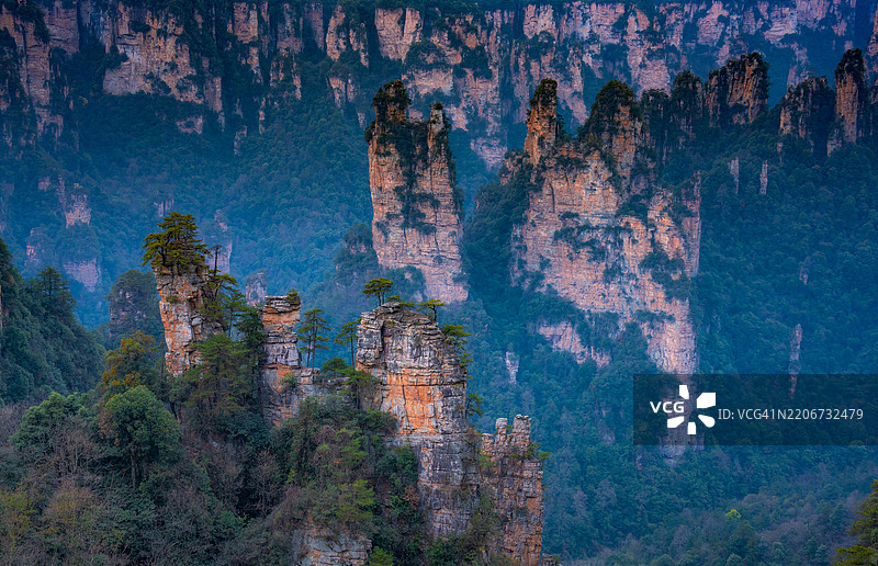 高角度俯瞰山上的树木图片素材