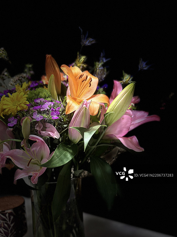 美国俄亥俄州的粉色开花植物特写图片素材