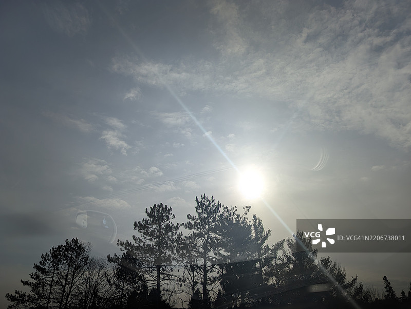 安大略省穆斯科卡区的天空下的树木图片素材