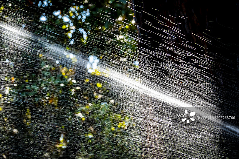 公园里的花园喷洒器图片素材