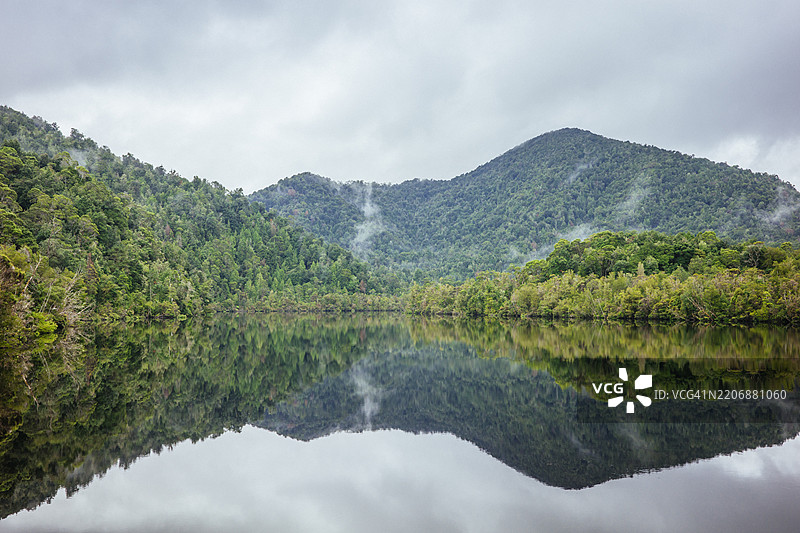 塔斯马尼亚斯特朗的戈登河沿岸的雨林图片素材