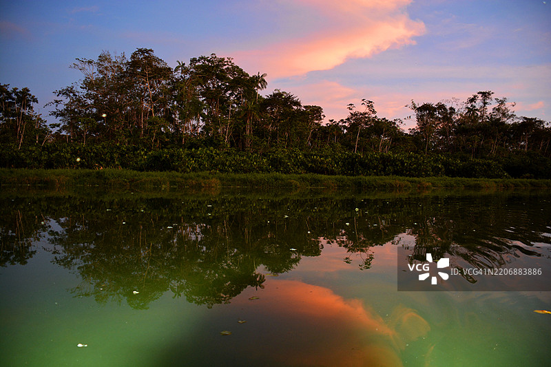 厄瓜多尔利蒙科查生物保护区图片素材