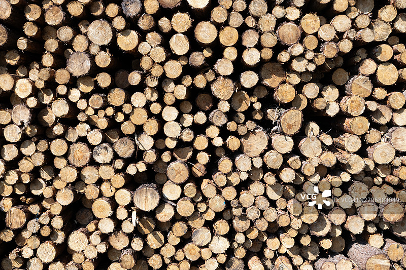 堆叠树干的圆形前景 - 背景图片素材