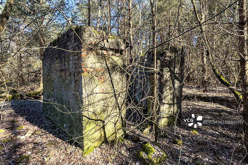 森林中的房屋废墟图片素材