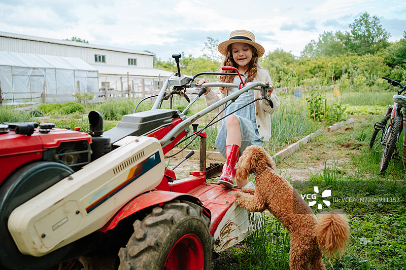 年轻女孩和她的贵宾犬在农场使用农业耕作机图片素材