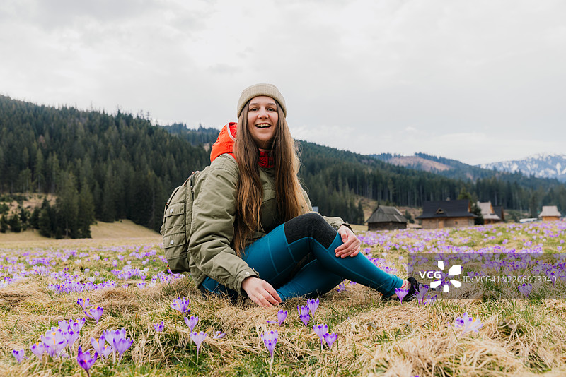 愉快的女性坐在盛开的藏红花花丛中，欣赏塔特拉山的美景图片素材