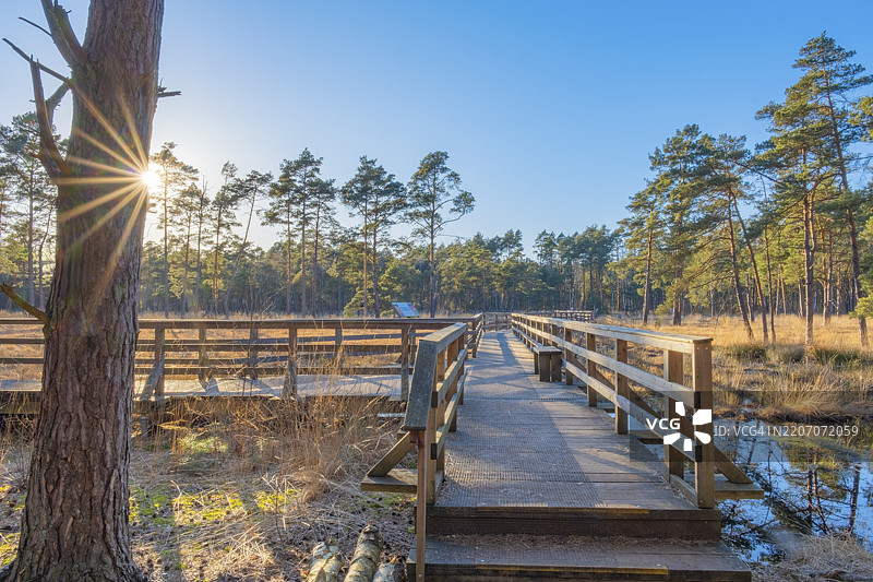 沿着德国下萨克森汉诺威新城鲁本贝格的奥特纳哈根沼泽阳光小道的沼泽桥景观图片素材