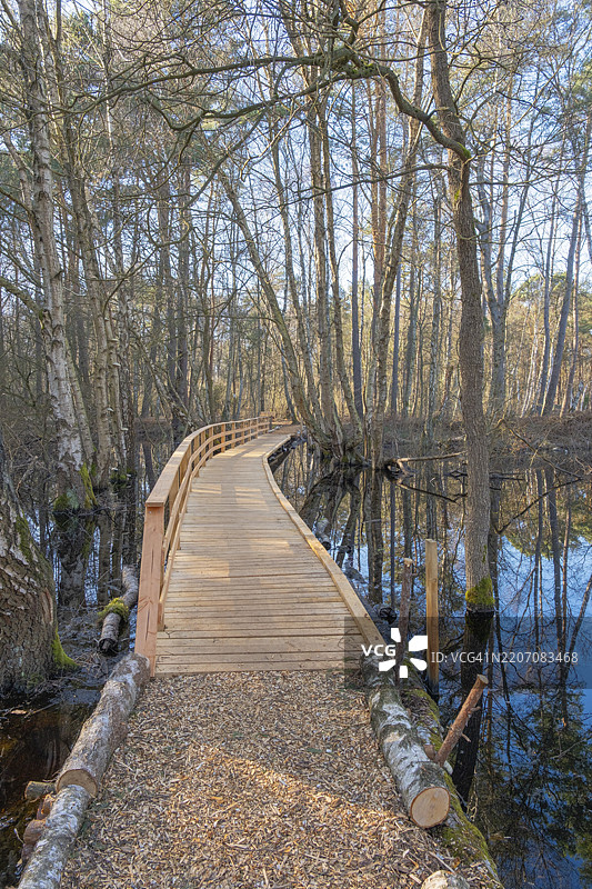 沿着一座沼泽桥的视角,展示了奥特纳哈根沼泽的探险小径,位于德国下萨克森州纽斯塔特·阿姆·吕本贝格的雷塞。图片素材