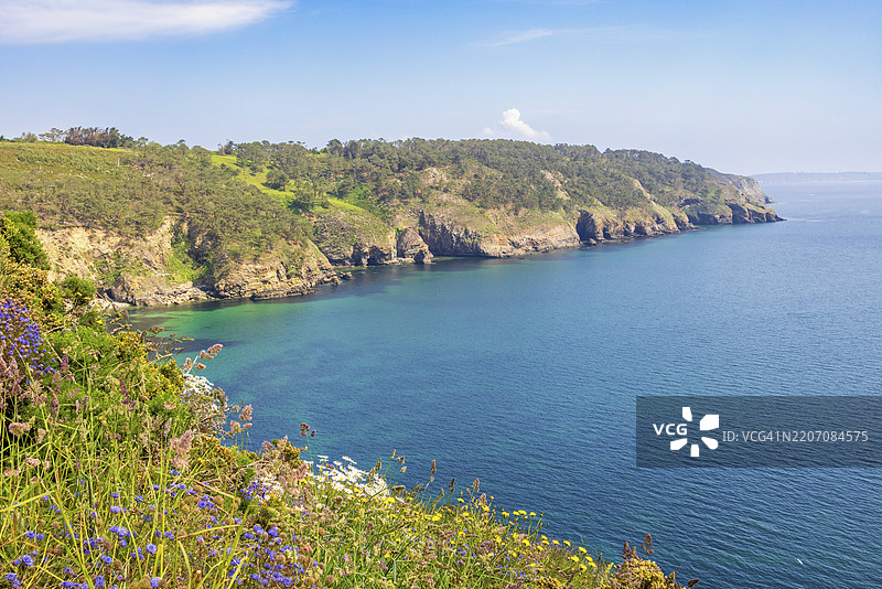 阳光明媚的夏日，法国布列塔尼克罗宗半岛的岩石海岸旁的草地上盛开的野花，海景尽收眼底。图片素材