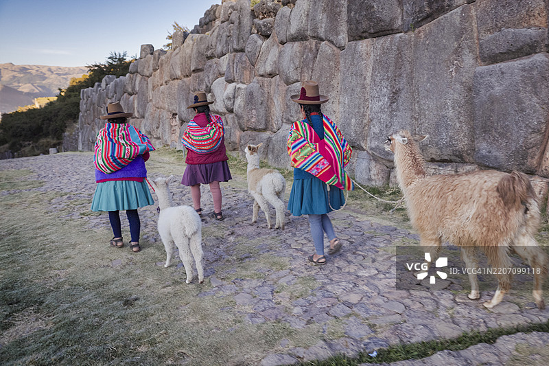 身穿传统服装的秘鲁女性在库斯科附近与美洲驼一起行走图片素材