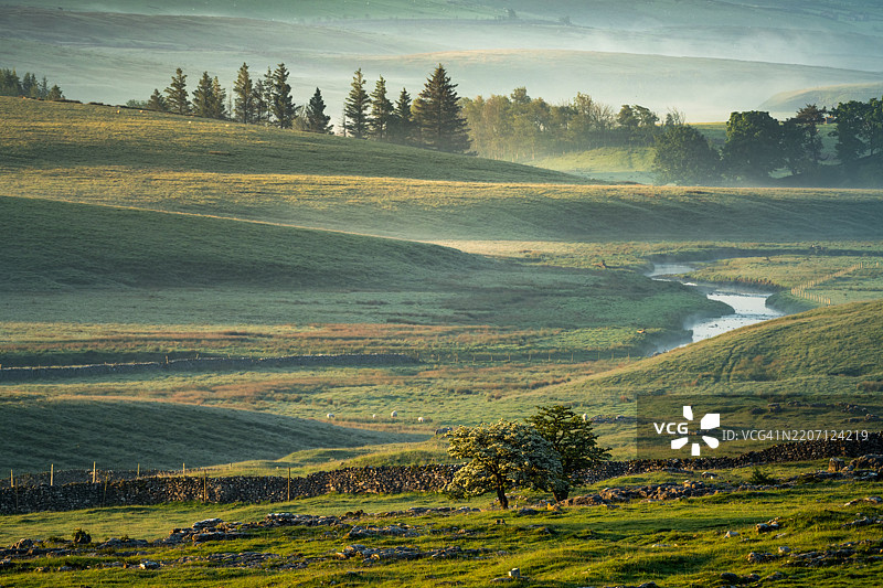Ribblesdale森林和河流上的雾霭日出图片素材