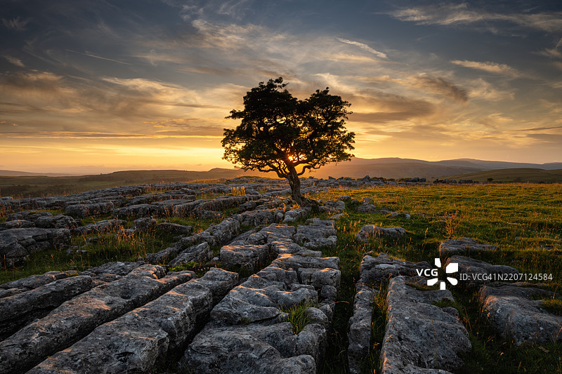 孤树与石灰岩铺面上的日落图片素材