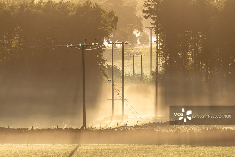 雾气弥漫的田野中的电力线图片素材