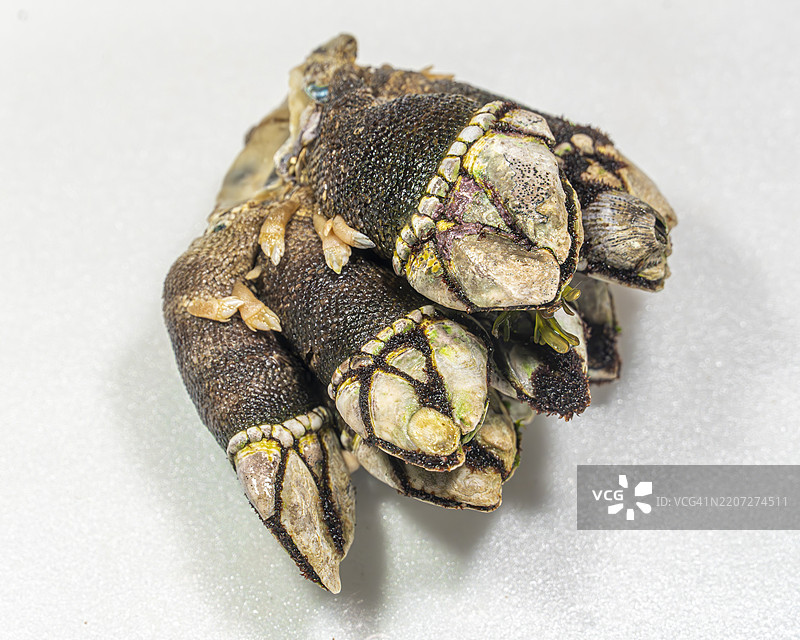 京都的日本鹅卵石（亀手，石饼）图片素材