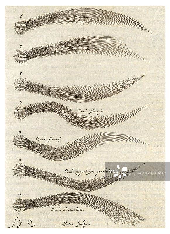 历史彗星尾巴图解展示科学观察图片素材