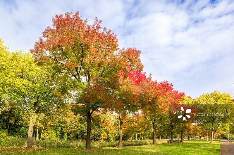 秋天的色彩图片素材