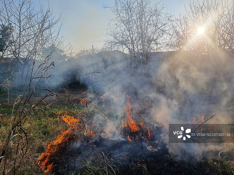 森林与天空的美丽景色图片素材