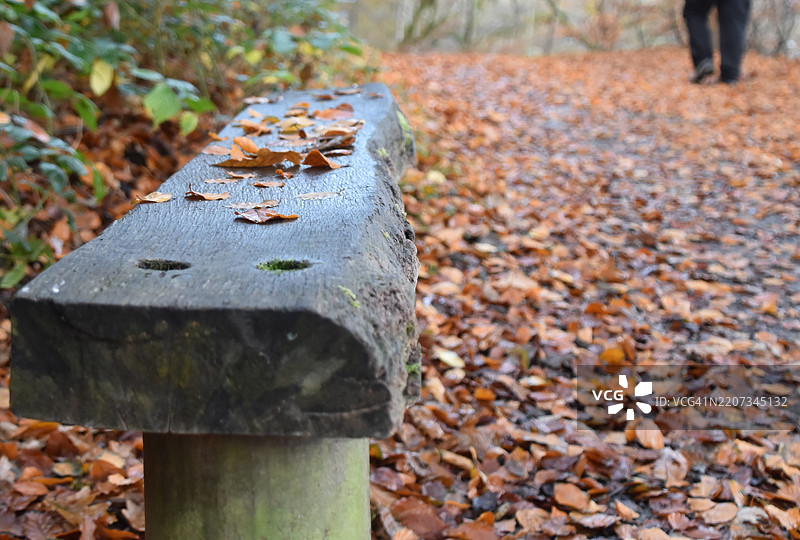 湖区风光图片素材
