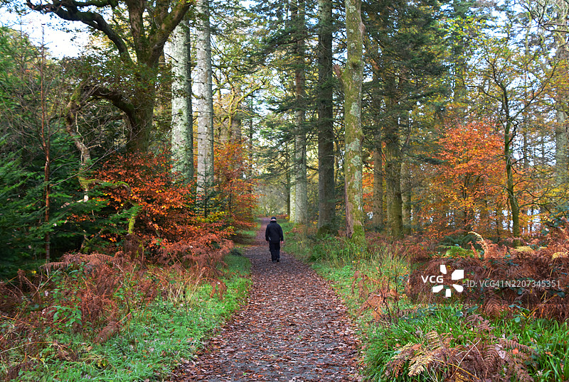 湖区风光图片素材