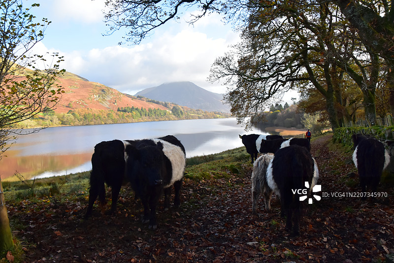 湖区风光图片素材