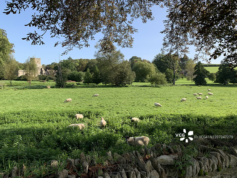 清澈天空下的田野美景，切尔滕纳姆，英国图片素材