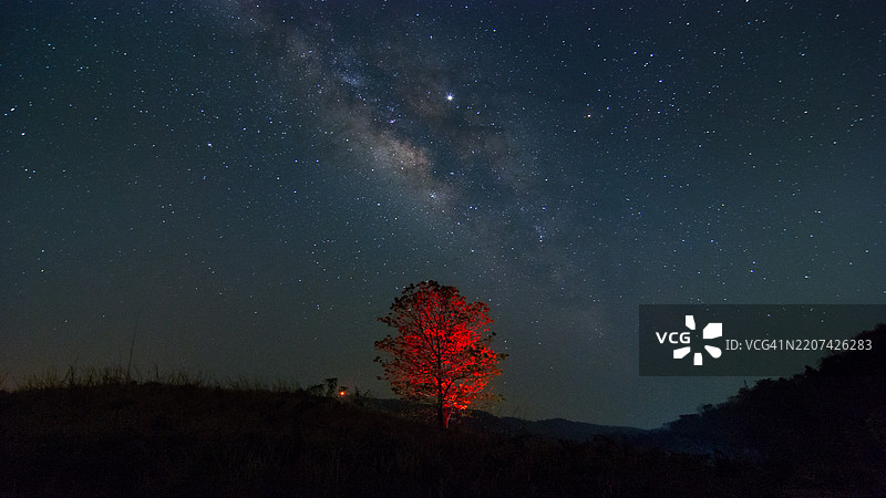 银河系映衬着孤独的树木。夜空背景下的银河与星星。泰国兰帕省。图片素材