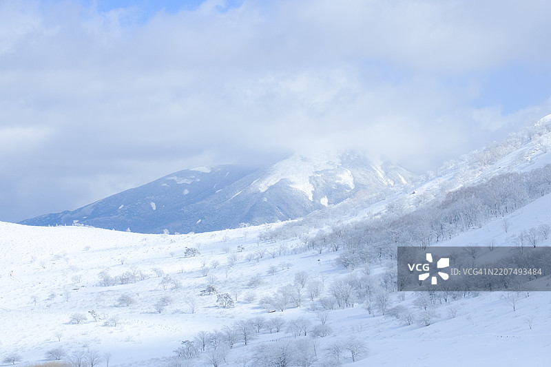 日本长野的霧ヶ峰高原美丽风景图片素材